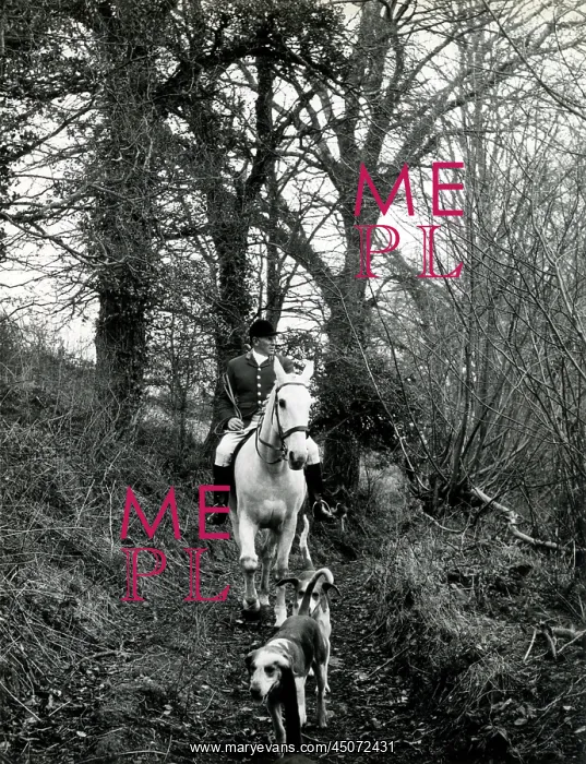 : Master of the South Devon Foxhounds : Master of the South Devon Foxhounds