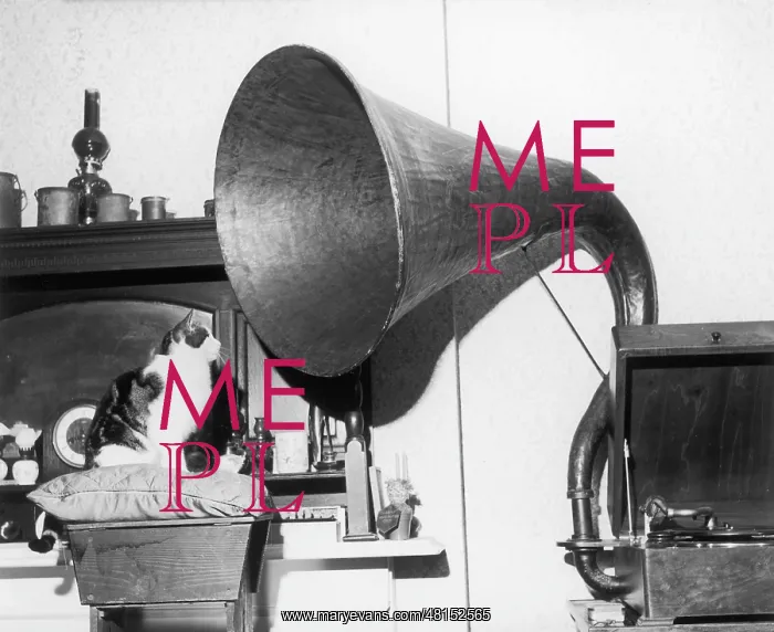 : HER MASTER'S VOICE! : HER MASTER'S VOICE!