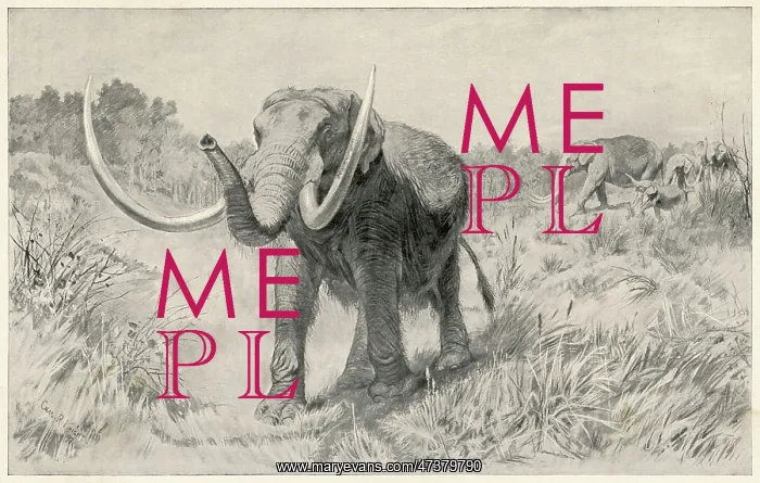 : MASTODON / PREHISTORIC US : MASTODON / PREHISTORIC US