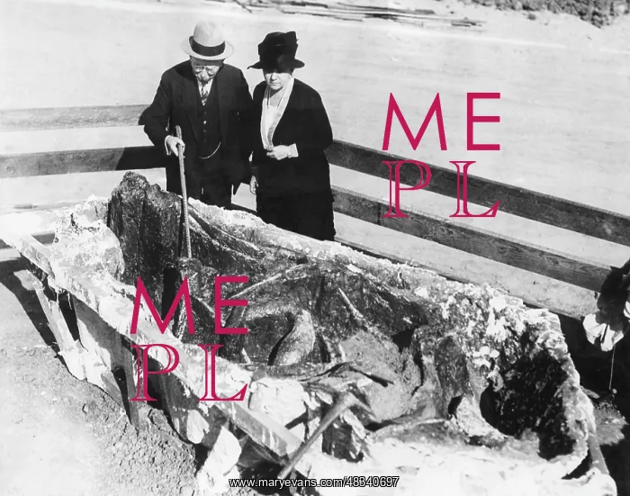: Find of a Mastodon skeleton, 1929 : Find of a Mastodon skeleton, 1929