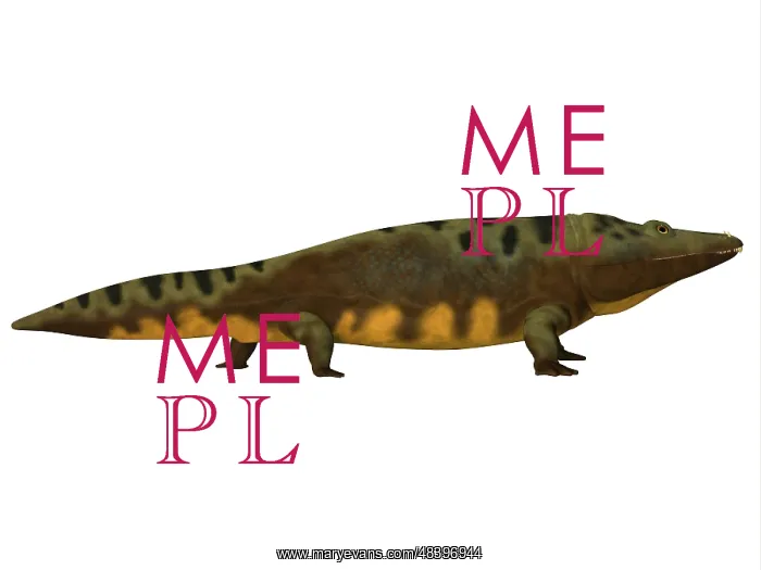 : Mastodonsaurus amphibian, side view : Mastodonsaurus amphibian, side view