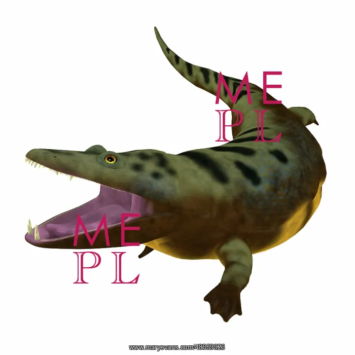 : Mastodonsaurus amphibian, side view on white background : Mastodonsaurus amphibian, side view on white background