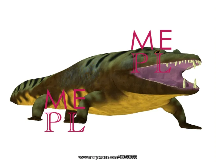 : Mastodonsaurus amphibian on white background : Mastodonsaurus amphibian on white background