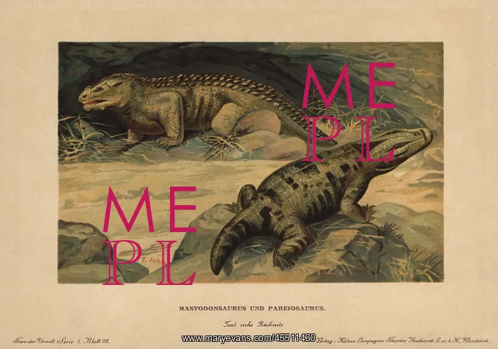 : Mastodonsaurus, extinct giant amphibian, and : Mastodonsaurus, extinct giant amphibian, and