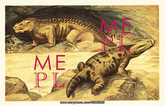 : Mastodonsaurus and Pareiasaurus : Mastodonsaurus and Pareiasaurus