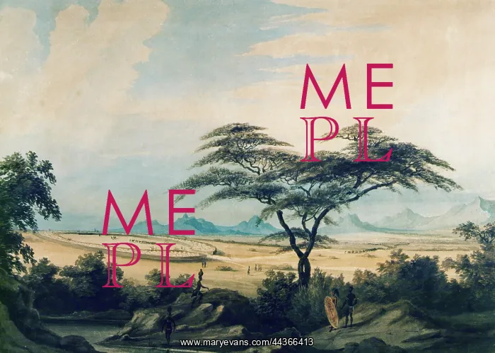 : Matabele Kraal, circa 1836 : Matabele Kraal, circa 1836