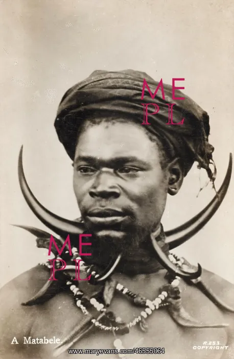 : A Matabele Warrior : A Matabele Warrior