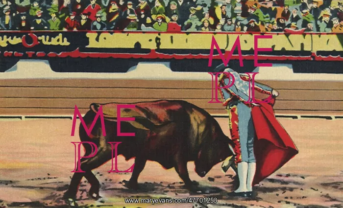 : Matador and the Bull : Matador and the Bull