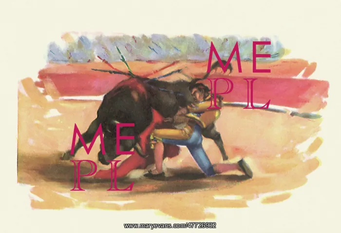 : Matador Bullfighting : Matador Bullfighting