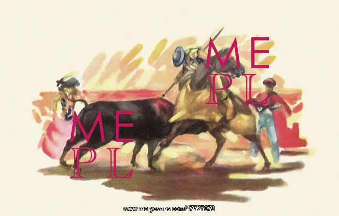 : Matador Bullfighting : Matador Bullfighting