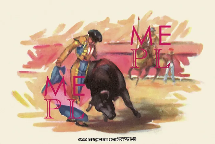 : Matador Bullfighting : Matador Bullfighting