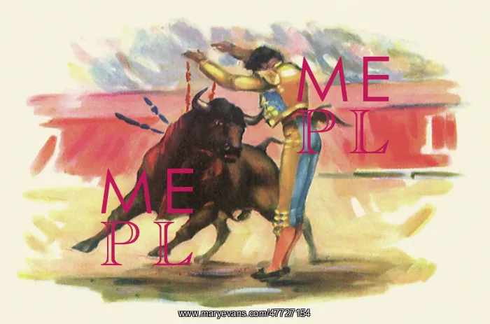: Matador Bullfighting : Matador Bullfighting