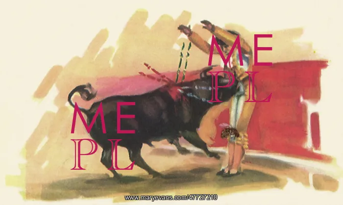 : Matador Bullfighting : Matador Bullfighting