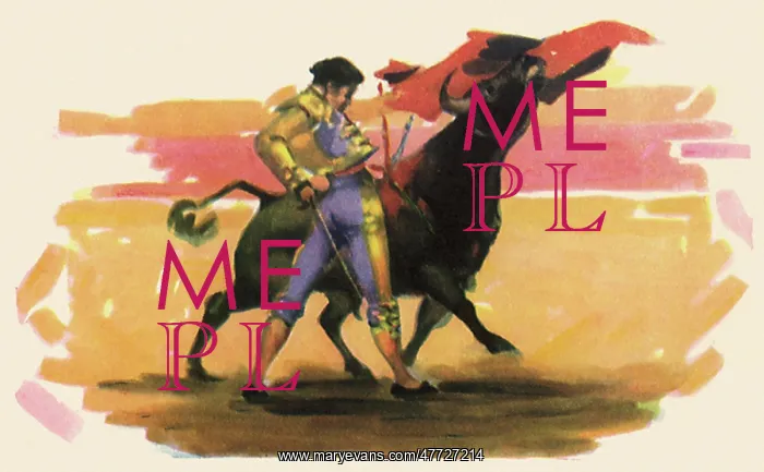 : Matador Bullfighting : Matador Bullfighting