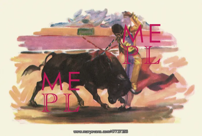 : Matador Bullfighting : Matador Bullfighting