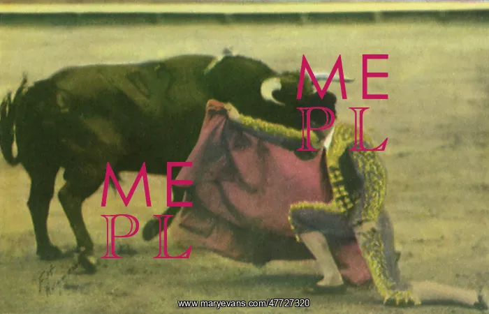: Matador Bullfighting : Matador Bullfighting