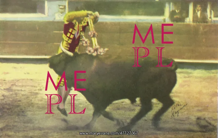 : Matador Bullfighting : Matador Bullfighting