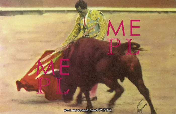 : Matador Bullfighting : Matador Bullfighting