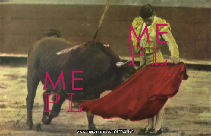 : Matador Bullfighting : Matador Bullfighting