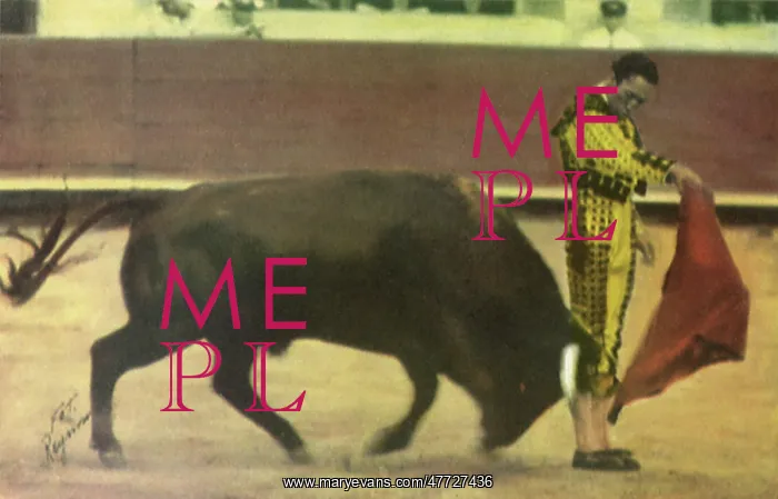 : Matador Bullfighting : Matador Bullfighting