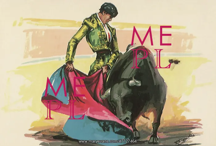 : Matador Bullfighting : Matador Bullfighting