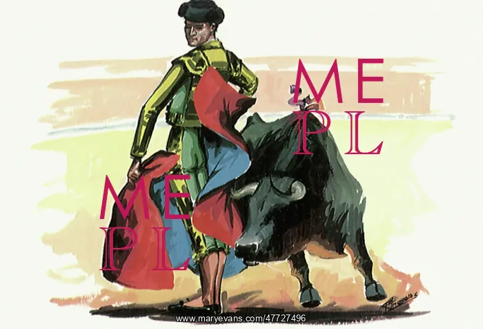 : Matador Bullfighting : Matador Bullfighting