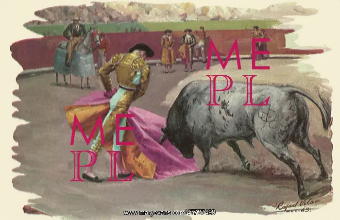 : Matador Bullfighting : Matador Bullfighting