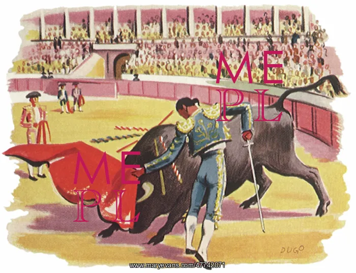 : Matador in Caracas : Matador in Caracas