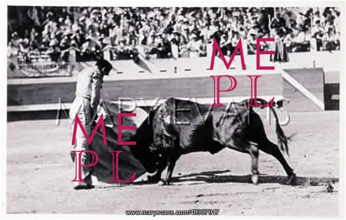  : MATADOR EXECUTES PASEO