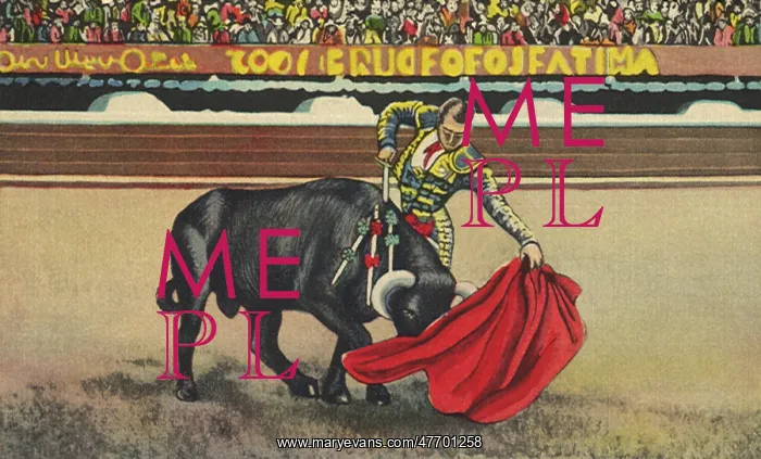 : Matador Killing Bull : Matador Killing Bull