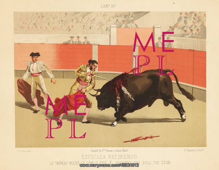 : Matador making the estocada (death blow) with the sword : Matador making the estocada (death blow) with the sword