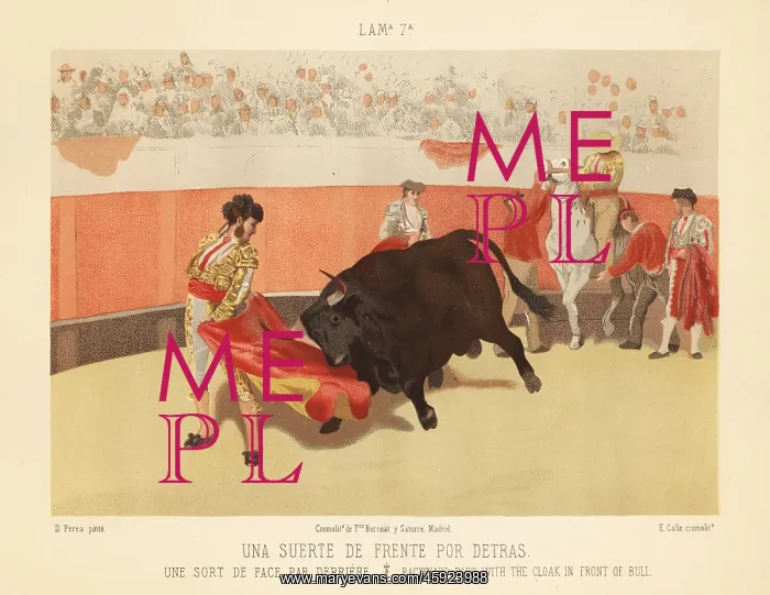 : Matador making a reverse pass with the cloak : Matador making a reverse pass with the cloak