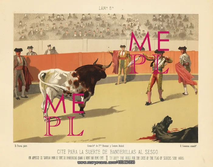 : Matador preparing to stab a bull with two : Matador preparing to stab a bull with two