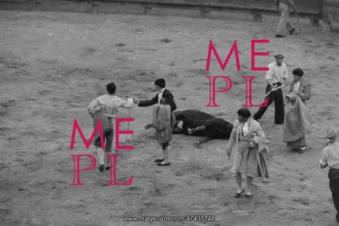 : Matamoros, Mexico. Death of the bull : Matamoros, Mexico. Death of the bull