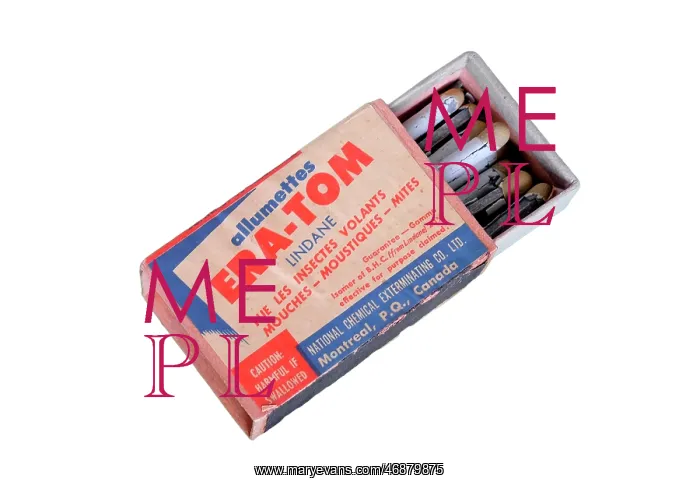  : Matchbox Insects