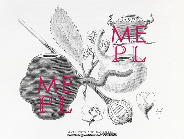 : Mate pots and bambillio illustration : Mate pots and bambillio illustration