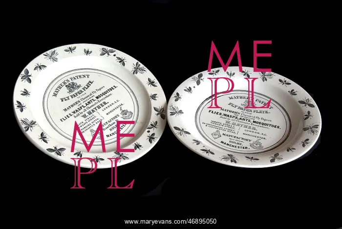 : Mather's fly paper plate : Mather's fly paper plate