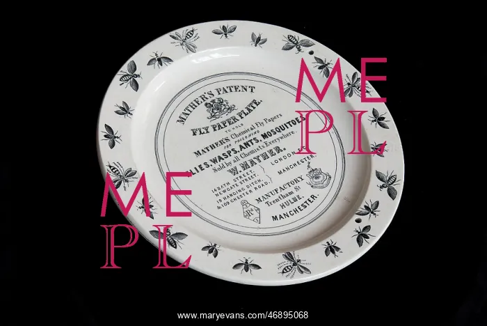 : Mather's fly paper plate : Mather's fly paper plate