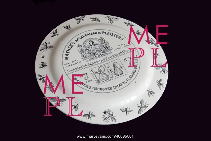 : Mather's fly paper plate - reverse : Mather's fly paper plate - reverse