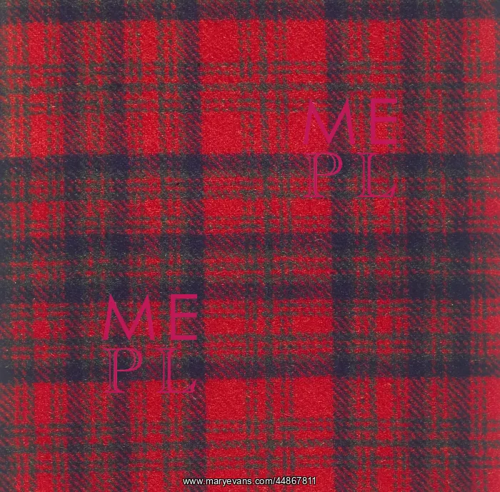  : MATHIESON TARTAN
