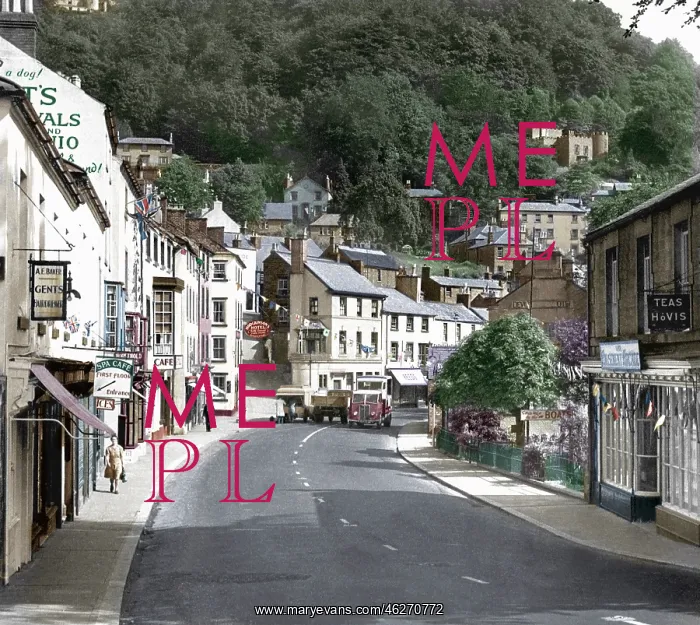  : Matlock Bath, Heights of Abraham c1955