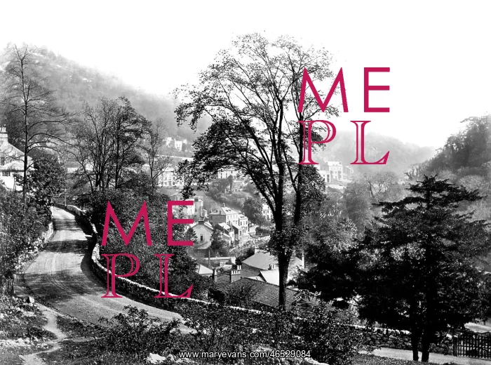  : Matlock Bath, road to Temple Hotel c1864