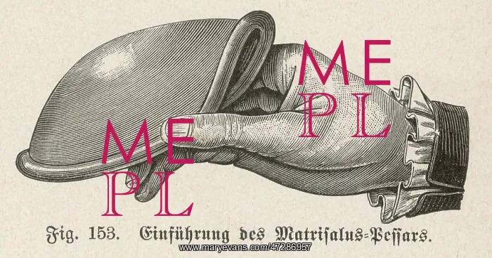 : MATRISALUS CAP / 1905 : MATRISALUS CAP / 1905