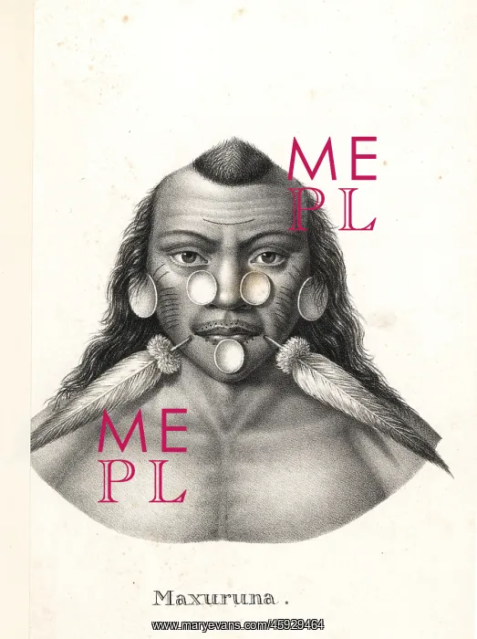 : Matses warrior with facial tattoos, shells and feathers : Matses warrior with facial tattoos, shells and feathers