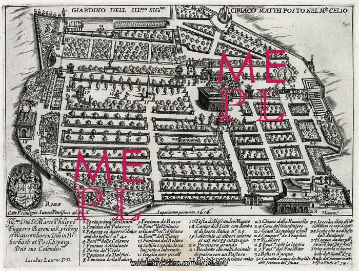 : MATTEI GARDENS, ROME : MATTEI GARDENS, ROME