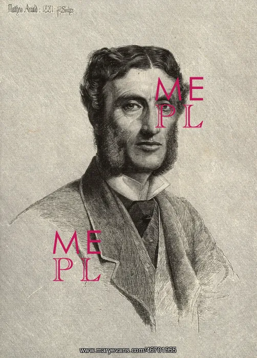 : Matthew Arnold by Anthony Frederick Augustus Sandys : Matthew Arnold by Anthony Frederick Augustus Sandys