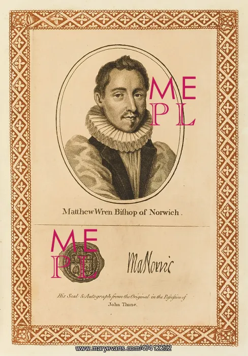 : MATTHEW WREN : MATTHEW WREN