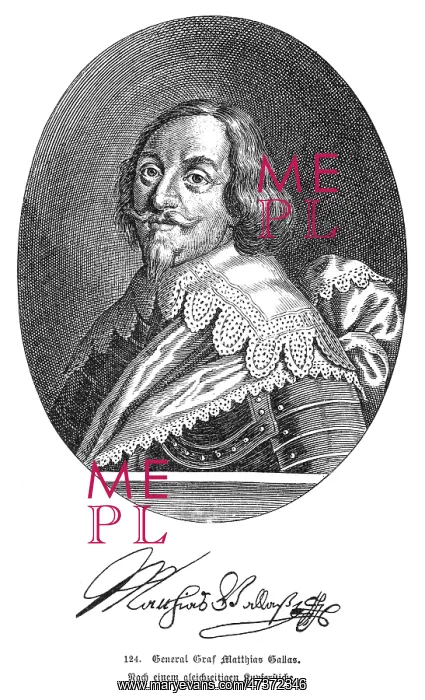 : MATTHIAS GALLAS : MATTHIAS GALLAS
