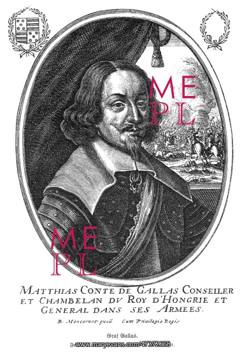 : MATTHIAS GALLAS : MATTHIAS GALLAS