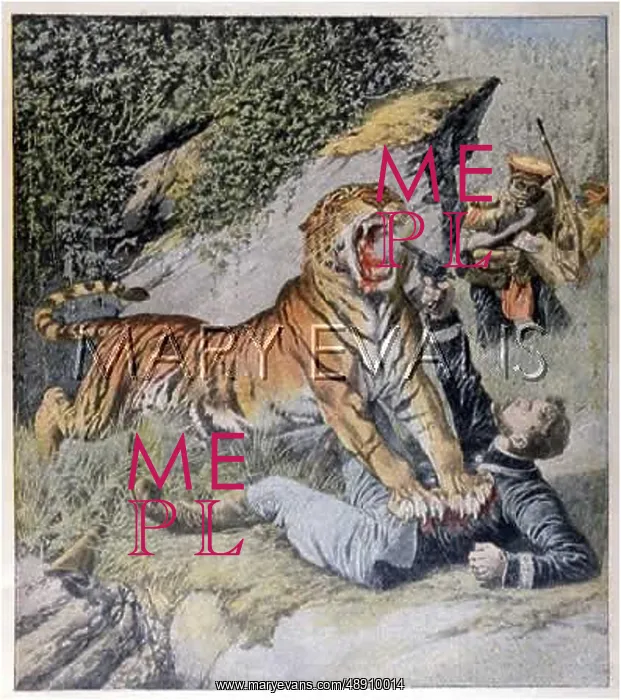 : MAULED BY A TIGER : MAULED BY A TIGER